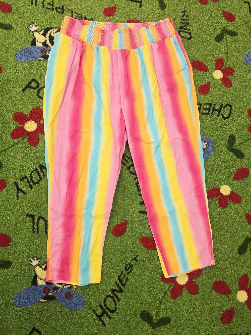 Lucy & Yak Rainbow Stripe Ankle Pants Size 2XL